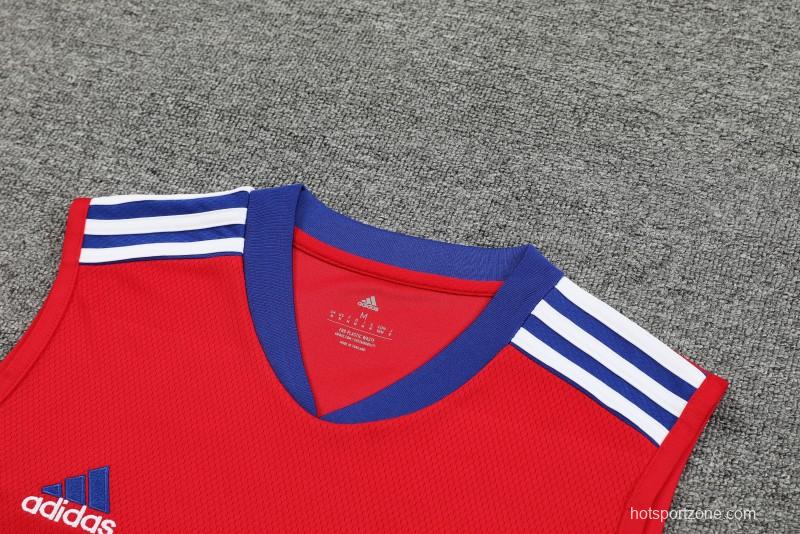 23-24 Bayern Munich Red/Blue Vest Jersey+Shorts