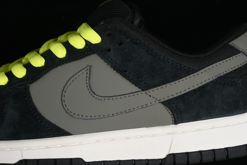 Nike Dunk Low SB Skateboarding Shoes - 302517-236