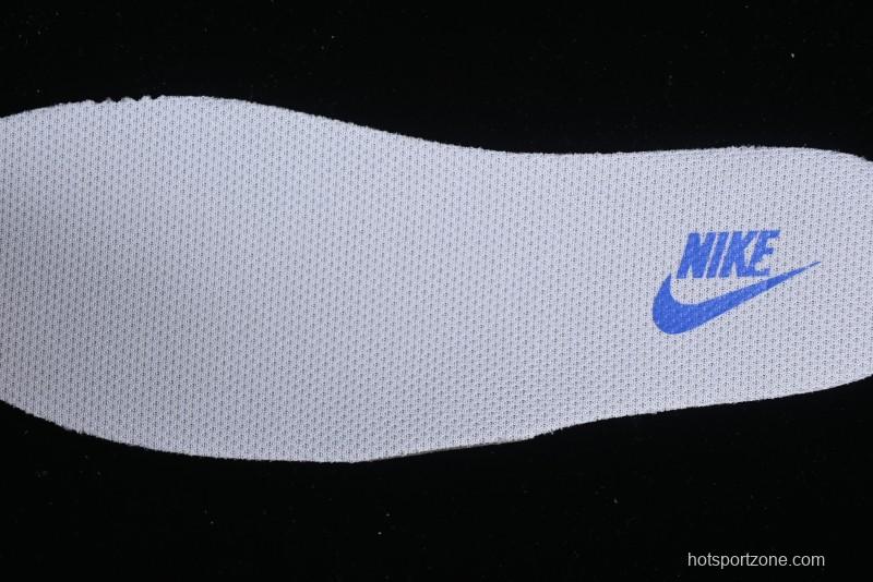 Nike Dunk Low SB Skateboarding Shoes - FD2562-300