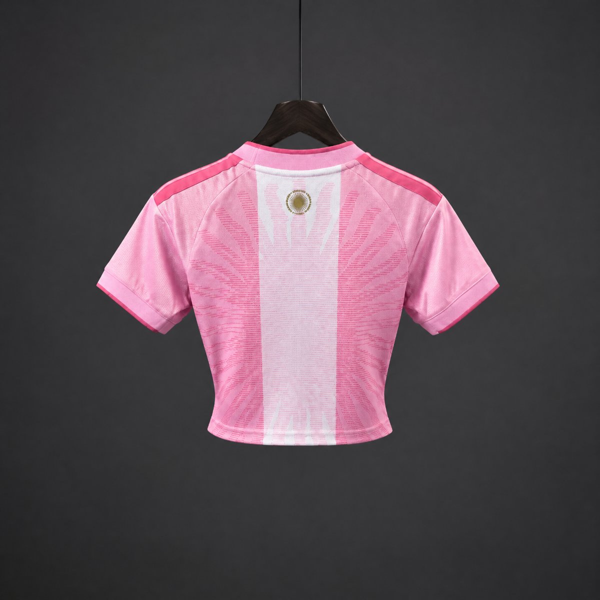 2026 Argentina MESSI Tribute Pink Women Crop Jersey